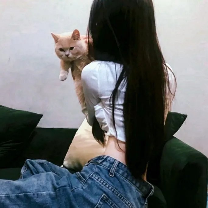 明月守护者